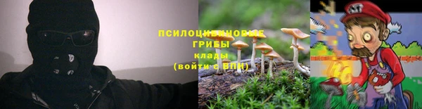 твердый Аркадак