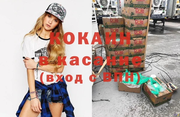 твердый Аркадак