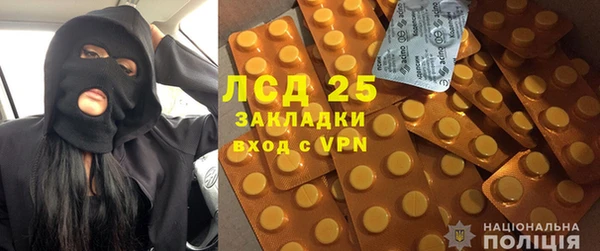 твердый Аркадак