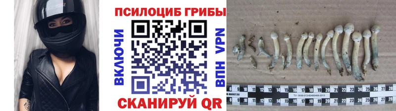 мориарти наркотические препараты  Грайворон  Галлюциногенные грибы ЛСД 