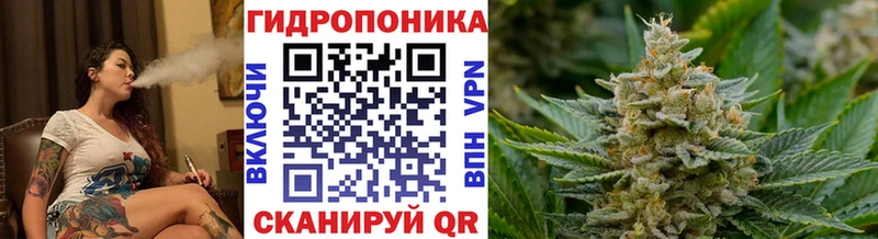 мега   Грайворон  Шишки марихуана THC 21% 